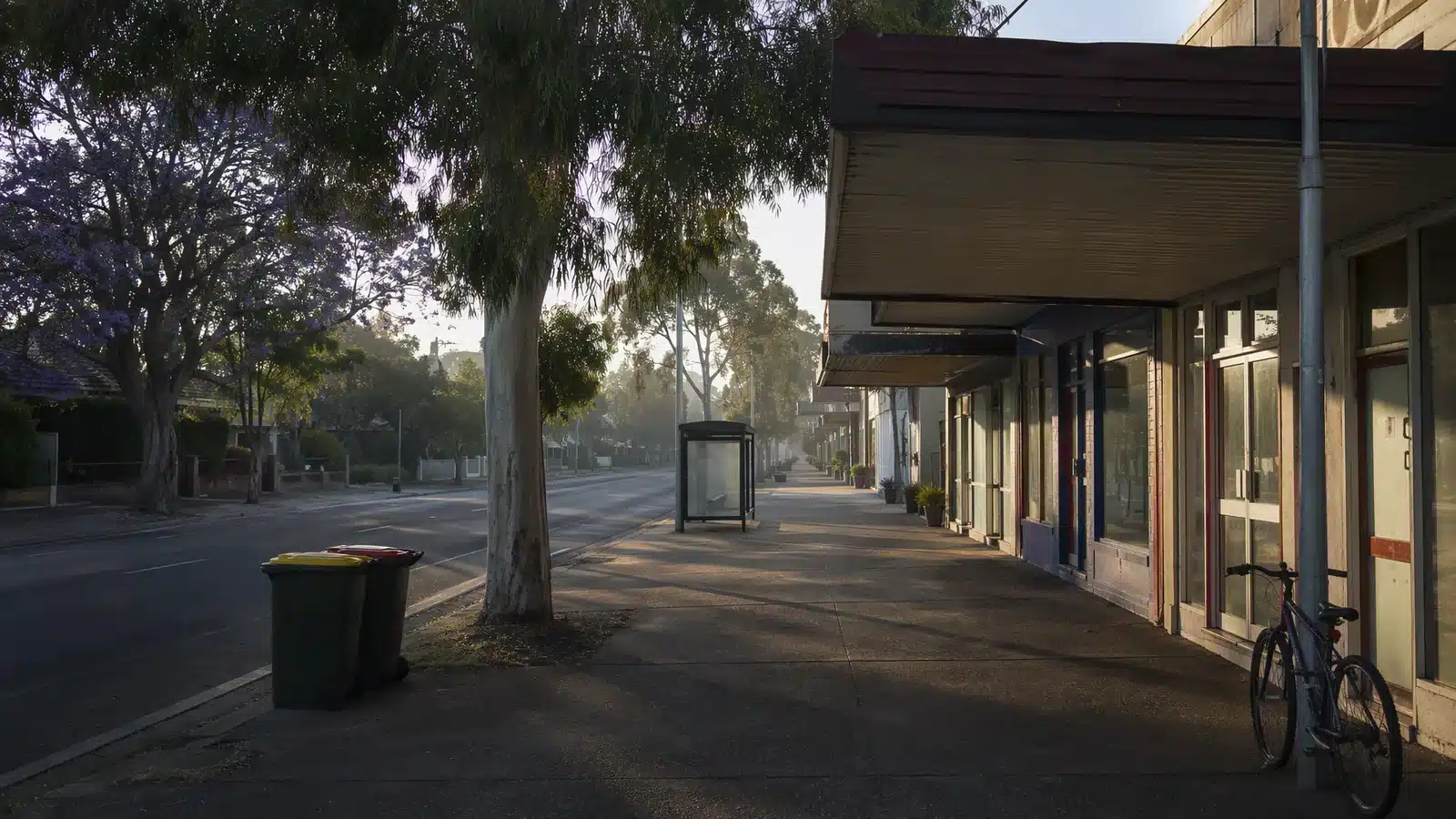 Illustrative suburban high street in Australia with a bus shelter and eucalyptus trees